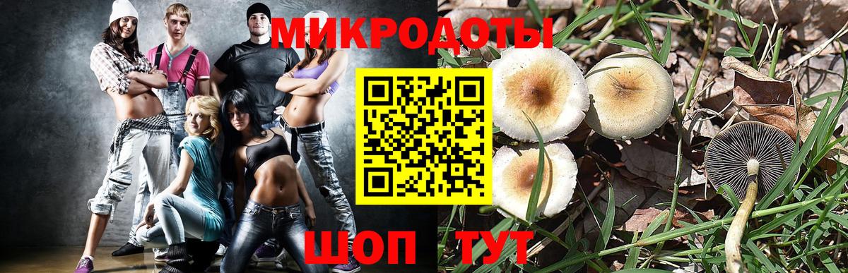 Галлюциногенные грибы MAGIC MUSHROOMS  Вход с VPN  Гай  Галлюциногенные грибы прущие грибы 