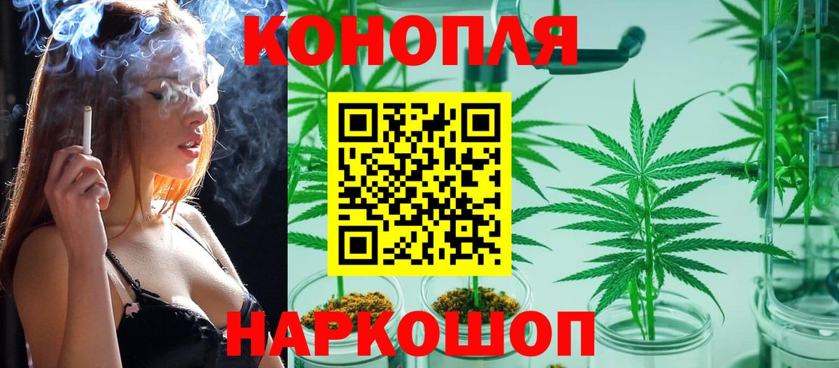 Бошки Шишки конопля Гай